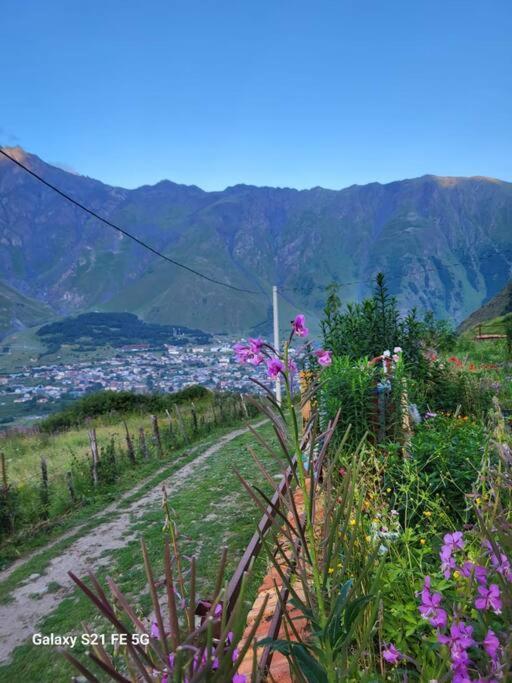 Peak House Villa Kazbegi Eksteriør billede